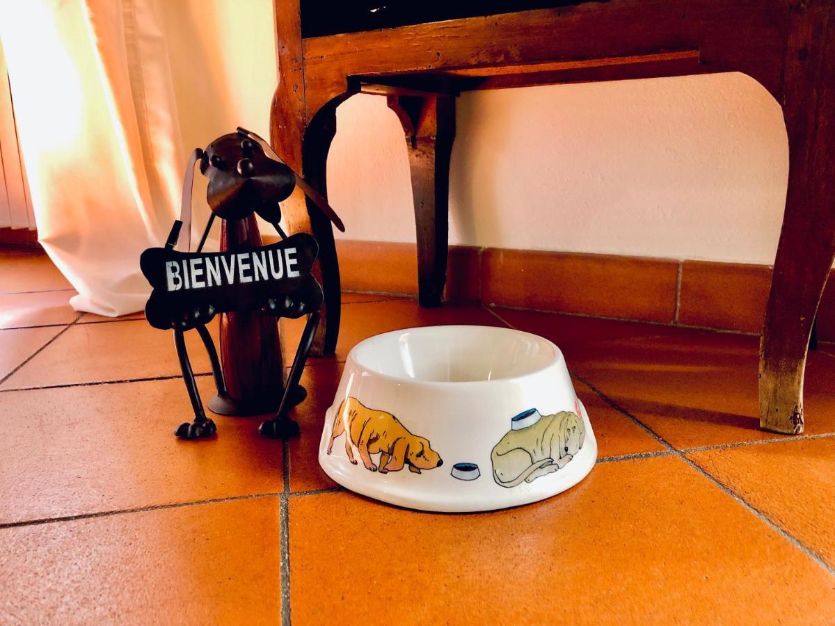 Historical J&d Apartamento Florencia